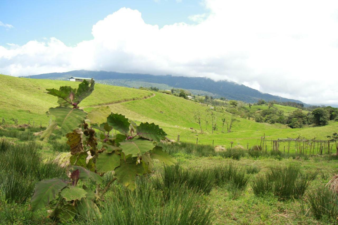 Casa Volcano Panoramic View Vara Blanca  Exterior photo